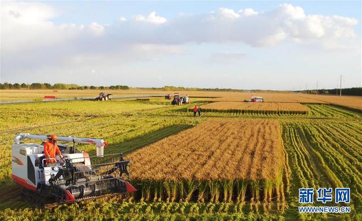 (在習(xí)近平新時(shí)代中國(guó)特色社會(huì)主義思想指引下——新時(shí)代新作為新篇章·圖文互動(dòng))(2)“北大倉(cāng)”加速“市場(chǎng)化之變”