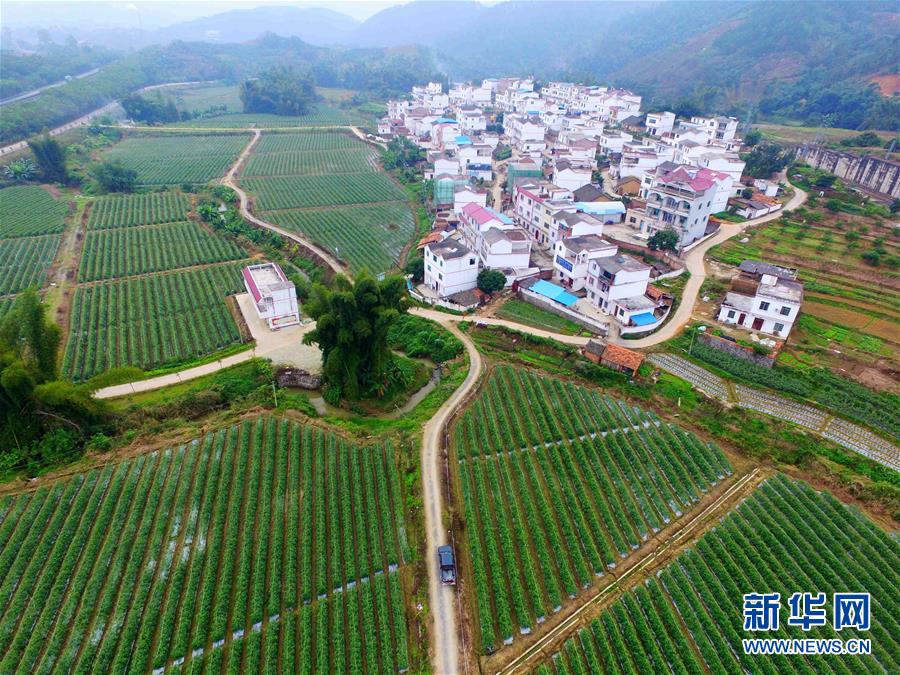 (輝煌60年·壯美新廣西·圖文互動)(10)從禿山到青山的蝶變——廣西石漠化治理10年再現(xiàn)發(fā)展生機(jī)