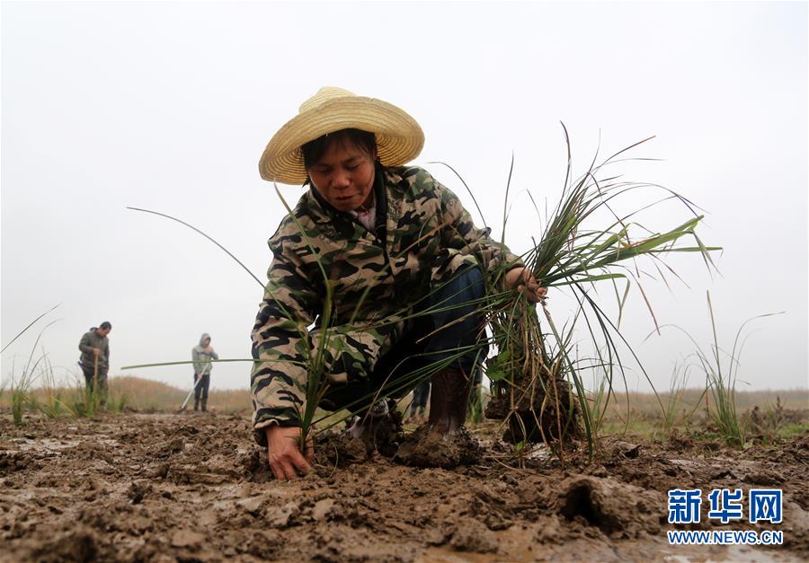(新華視點·回望2018·圖文互動)(3)2018年新華社曝光多起破壞生態事件,記者年底追訪發現……