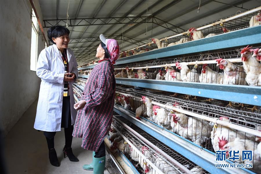 (改革先鋒風采·圖文互動)(2)余留芬:讓人人有事干戶戶都小康