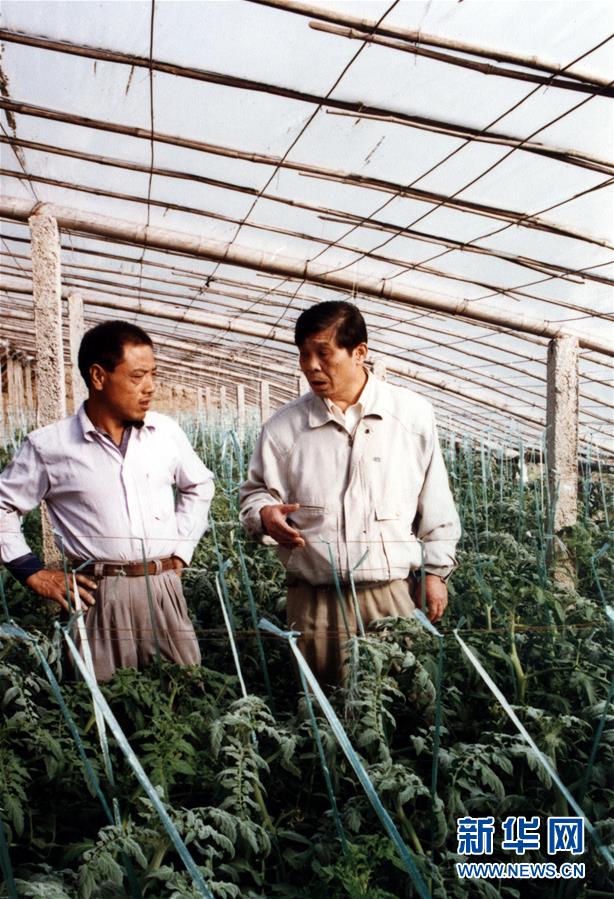 (改革先鋒風采·圖文互動)(1)王伯祥:山東壽光蔬菜產業的推動者