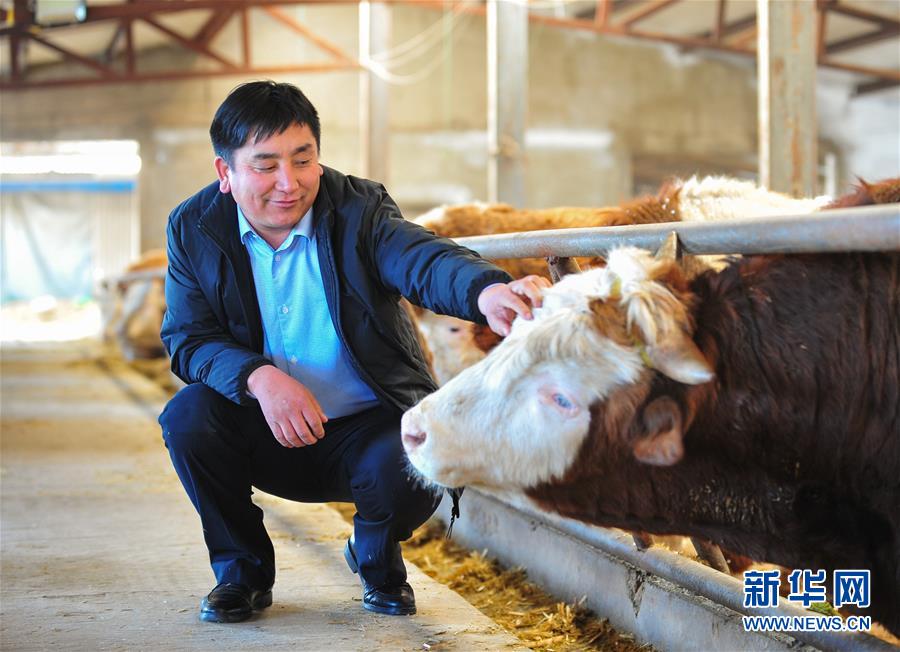 (兩會·基層代表履職故事)(4)全國人大代表吳云波:共享新時代發展成果