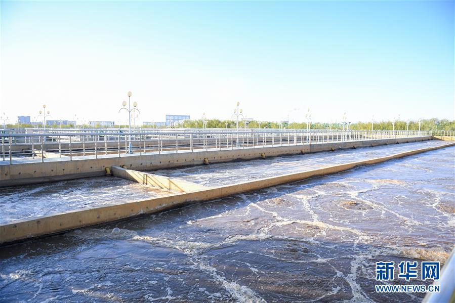 (在習近平新時代中國特色社會主義思想指引下——新時代新作為新篇章·圖文互動)(2)打響綠色品牌 “四控”治污增效——內蒙古巴彥淖爾探索農業高質量發展