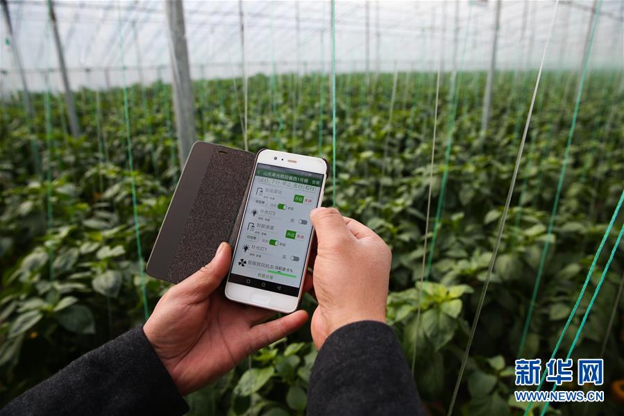 （新華全媒頭條·圖文互動(dòng)）（8）聚焦高質(zhì)量，躍上新臺(tái)階——新年開局看中國經(jīng)濟(jì)信心和潛力