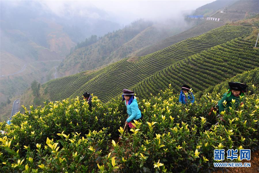 (兩會前夕看落實·圖文互動)(8)決戰脫貧攻堅 奮力后發趕超——貴州落實習近平總書記全國兩會重要講話精神紀實