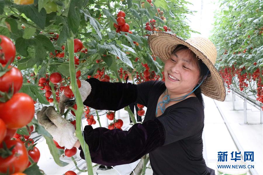 (兩會前夕看落實(shí)·圖文互動)(8)奮力脫貧攻堅 生態(tài)追“清”逐“綠”——江西落實(shí)習(xí)近平總書記全國兩會重要講話精神紀(jì)實(shí)