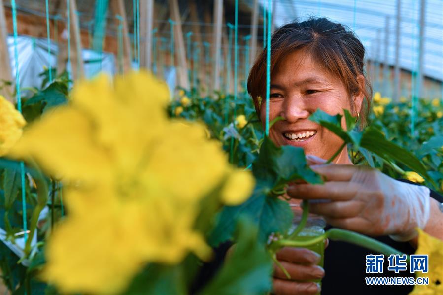 (兩會前夕看落實·圖文互動)(4)融合“三生三美” 打造鄉村振興齊魯樣板——山東落實習近平總書記全國兩會重要講話精神紀實