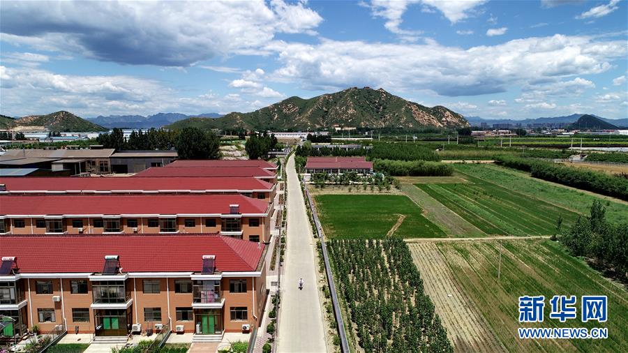 (新華全媒頭條·圖文互動)(5)承諾有“干貨” 落實有“硬招”——“全國兩會部長通道”上承諾踐行情況掃描