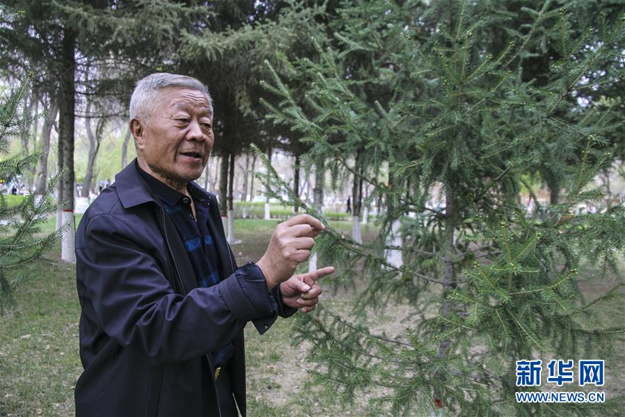 (壯麗70年·奮斗新時代·圖文互動)(5)記者蹲點手記:感受“戈壁明珠”嶄新容顏