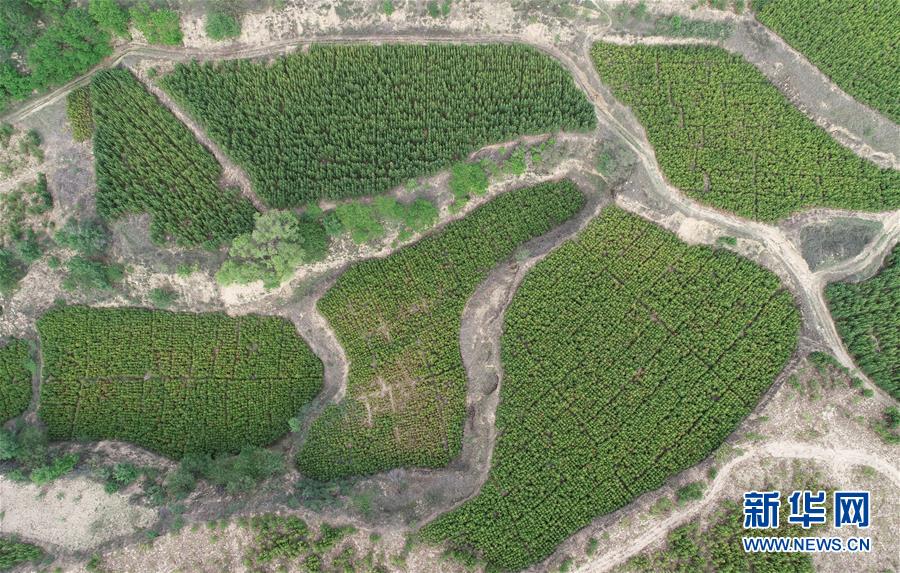 （新華全媒頭條·北京世園會·圖文互動）（8）共繪人類生態文明美麗畫卷——從北京世園會看中國綠色發展的“世界貢獻”