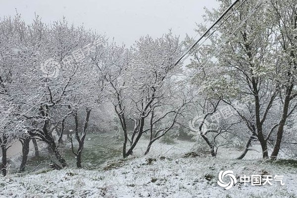 冷空氣要撤啦!今日全國降水整體弱 華南仍有強對流