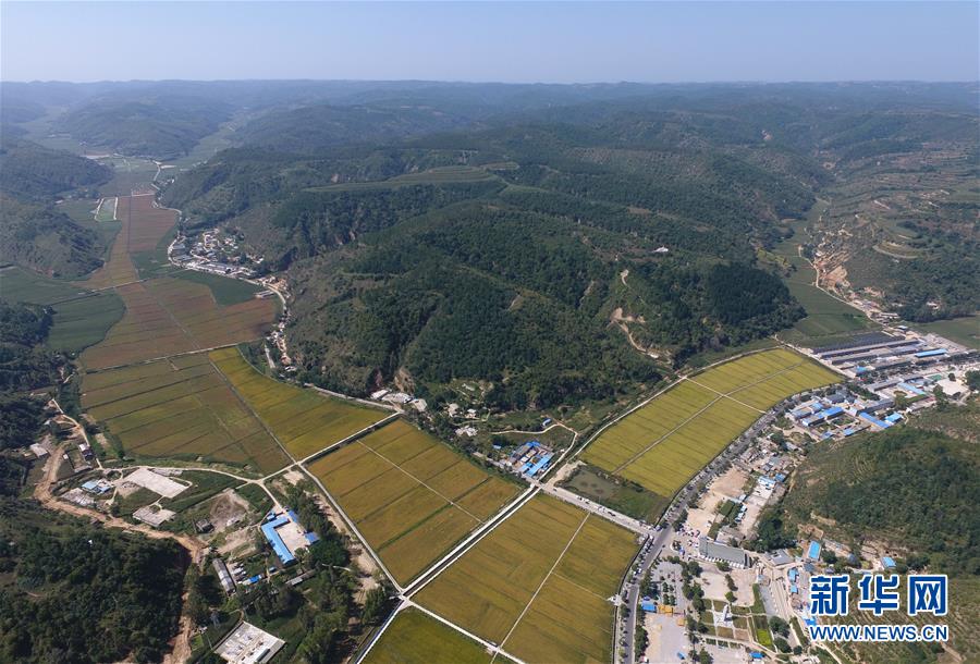 (圖文互動)(1)今日延安:“對照過去我認不出了你”——紅色圣地的生態(tài)交響曲