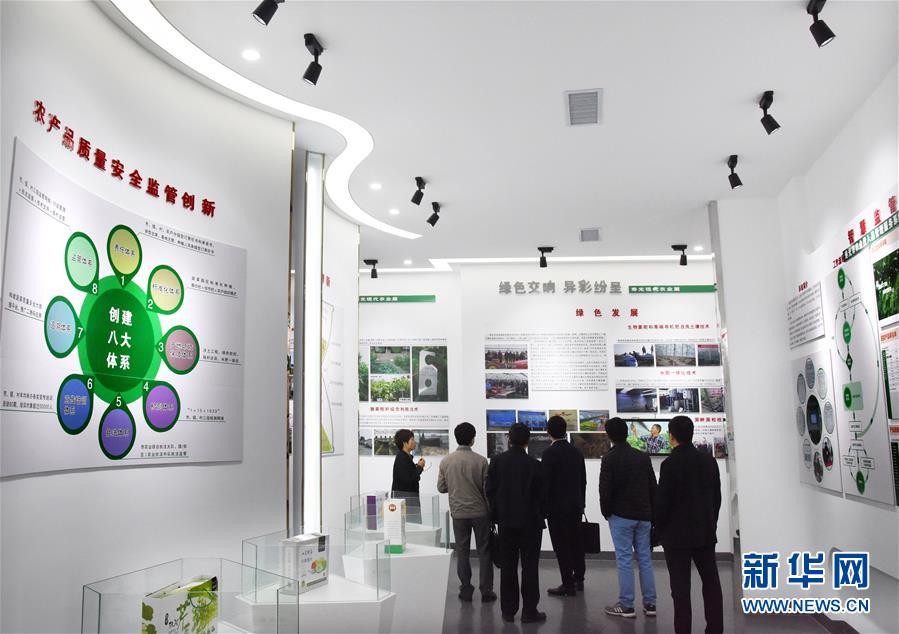 (壯麗70年·奮斗新時代·圖文互動)(5)山東壽光:一棵“菜”興一座城