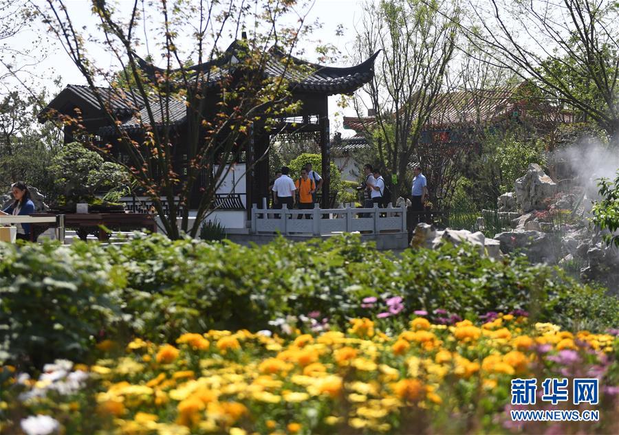 （新華全媒頭條·圖文互動）（2）天人合一、咫尺乾坤：蘇州園林的東方魅力