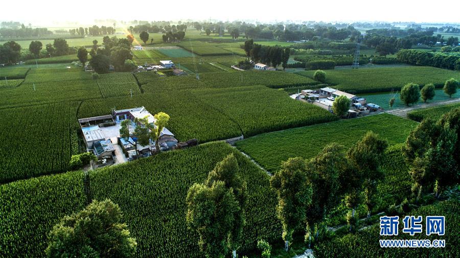 (權(quán)威訪談·聚焦中國經(jīng)濟亮點·圖文互動)(2)防治土地荒漠化 推動綠色發(fā)展——專訪國家林業(yè)和草原局副局長劉東生