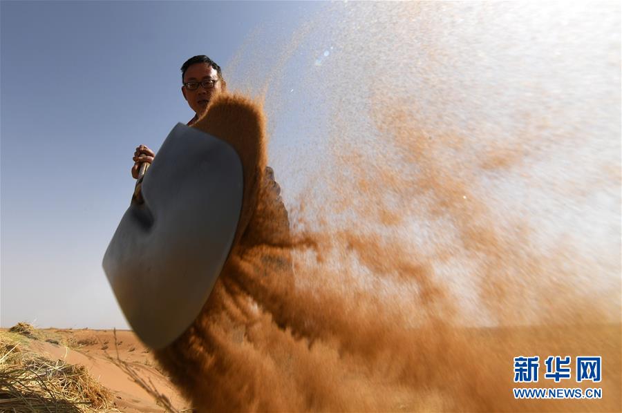 (權(quán)威訪談·聚焦中國經(jīng)濟亮點·圖文互動)(10)防治土地荒漠化 推動綠色發(fā)展——專訪國家林業(yè)和草原局副局長劉東生
