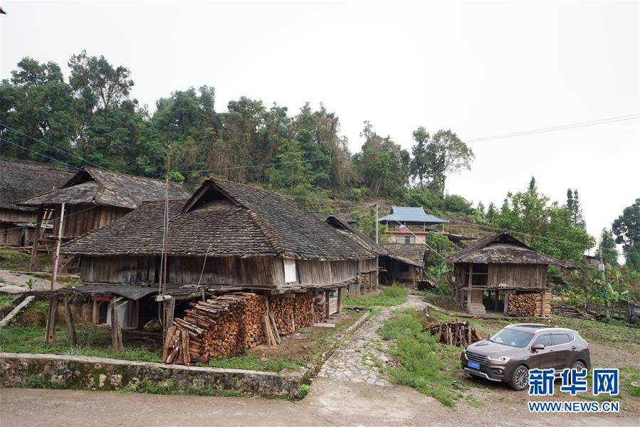 (直過民族脫貧攻堅·圖文互動)(6)“人類童年·西盟佤部落”成長記