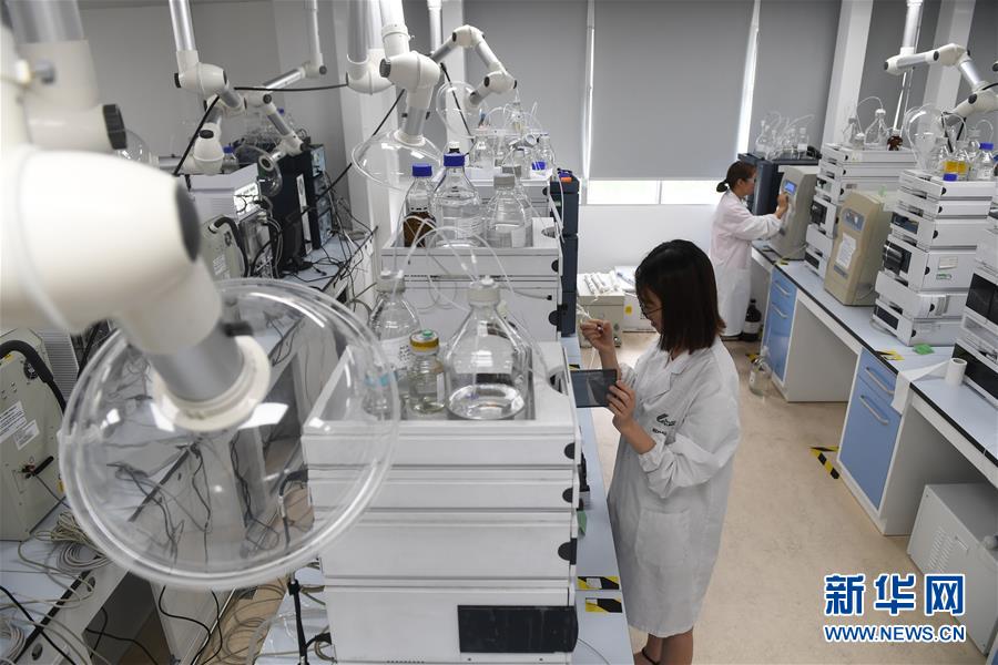 （新華全媒頭條·中國經濟基層行·圖文互動）（6）看！這就是中國經濟的信心——當前中國經濟觀察之一