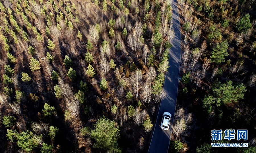 (壯麗70年·奮斗新時(shí)代·圖文互動)(12)毛烏素治理:眾志縛流沙 塞外展新顏
