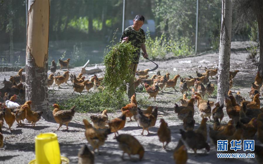 （新華全媒頭條·圖文互動(dòng)）（6）同心援疆，“壯闊”祖國西北角