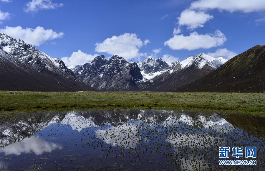 （今日關(guān)注·第一屆國家公園論壇·圖文互動）（6）首個國家公園什么樣？專家?guī)阆?ldquo;睹”為快