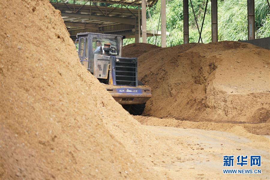 (在習近平新時代中國特色社會主義思想指引下——新時代新作為新篇章·總書記關心的百姓身邊事·圖文互動)(4)大污染變身“大寶藏”:治理畜禽糞污,他們這樣干!