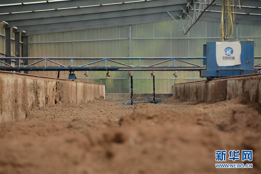 (在習近平新時代中國特色社會主義思想指引下——新時代新作為新篇章·總書記關心的百姓身邊事·圖文互動)(5)大污染變身“大寶藏”:治理畜禽糞污,他們這樣干!