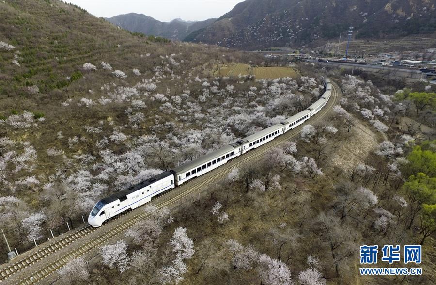 （壯麗70年·奮斗新時代——共和國發展成就巡禮）（12）人暢其行、貨暢其流——共和國交通運輸業發展成就巡禮