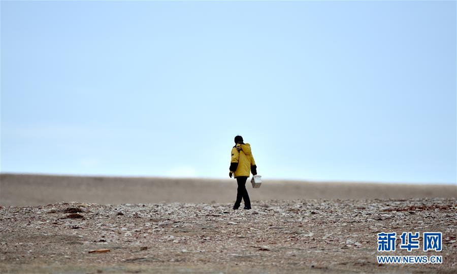 (新華全媒頭條·圖文互動)(9)確保“中華水塔”碧水東流——中國三江源生態(tài)保護報告