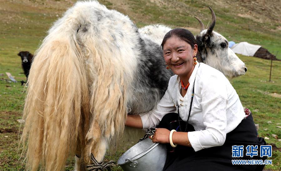 (決戰決勝脫貧攻堅·圖文互動)(9)以保護促脫貧 以脫貧助保護——長江源頭第一縣的生態發展選擇