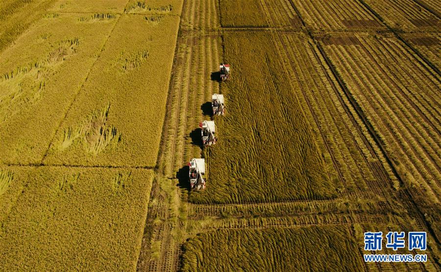 （新華全媒頭條·圖文互動）（5）紅色的傳承，藍圖的起點——新中國孕育與發展的“東北記憶”