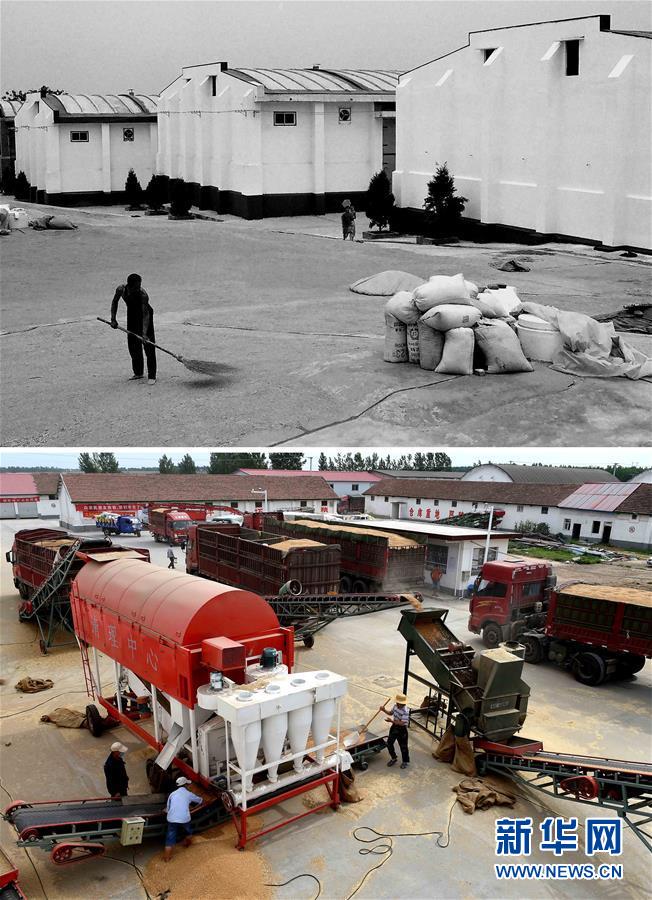 (新華全媒頭條·圖文互動)(9)大國糧倉的新時代交響——河南農業70年觀察