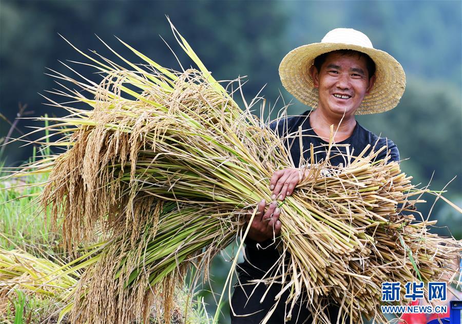 (全面深化改革·圖文互動)(2)“減”出效益 “融”出特色 “服”出動力——貴州推進農村產業結構調整觀察