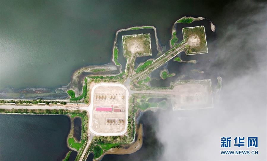 （圖文互動）（14）當好標桿旗幟 建設百年油田——寫在大慶油田發現60周年之際