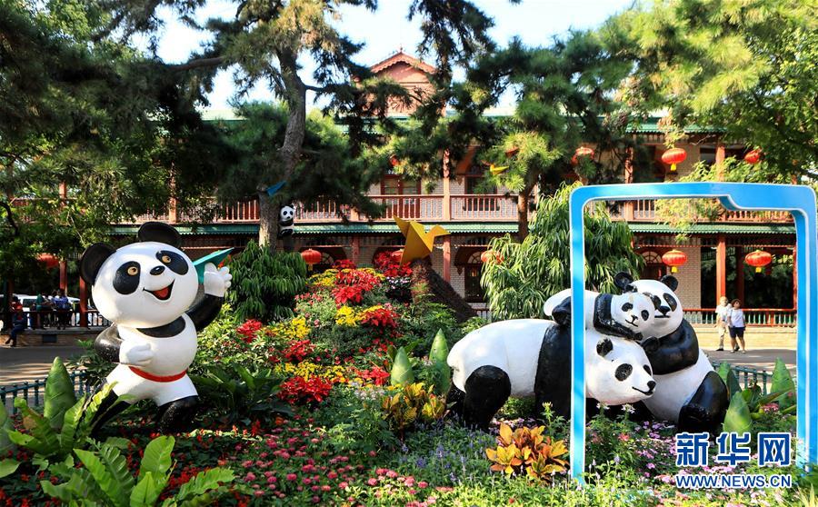 (圖文互動(dòng))(1)15萬(wàn)平方米花卉扮靚首都公園
