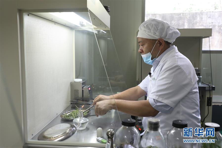 (在習近平新時代中國特色社會主義思想指引下——新時代新作為新篇章·總書記關心的百姓身邊事·圖文互動)(5)“科技秀才”給田野帶來新希望