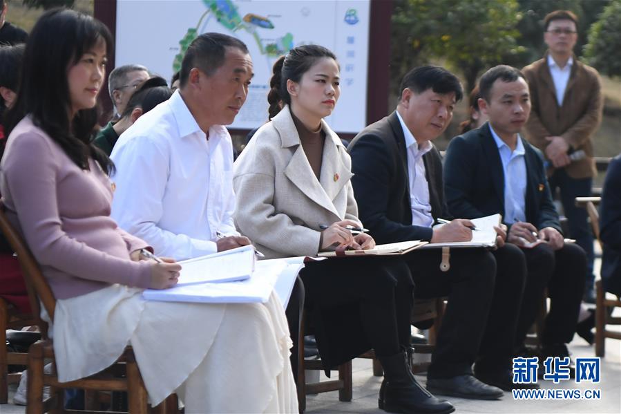 (四中全會精神在基層·圖文互動)(4)學(xué)習(xí)貫徹黨的十九屆四中全會精神中央宣講團在湖南宣講