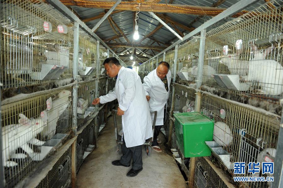 （新華全媒頭條·圖文互動）（4）干部去哪兒了？——貴州干部大規模下沉脫貧攻堅一線紀實