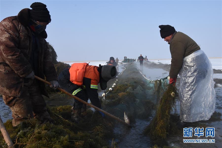 (新春走基層·圖文互動)(4)“干活的人不會冷”——直擊新疆吉力湖冬捕現場