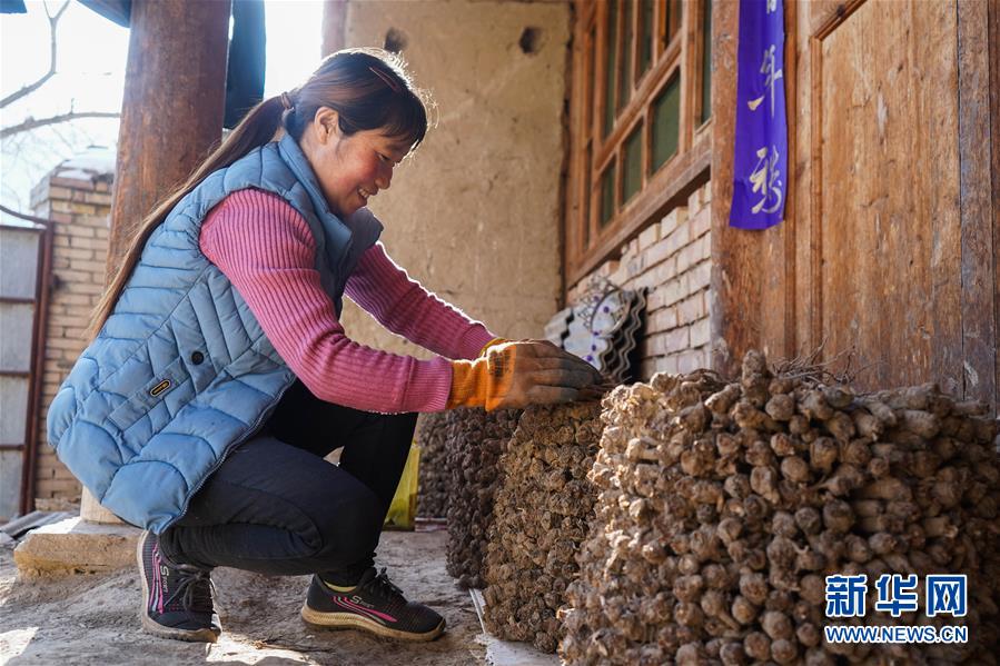 (聚焦疫情防控·圖文互動)(3)一心防疫,一心脫貧——一心村的防疫一天