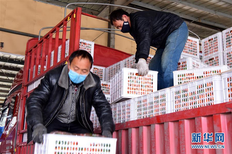 （聚焦疫情防控·圖文互動(dòng)）（5）吃的東西充足，做點(diǎn)花樣菜吧！——中部地區(qū)最大農(nóng)產(chǎn)品批發(fā)市場(chǎng)見(jiàn)聞 