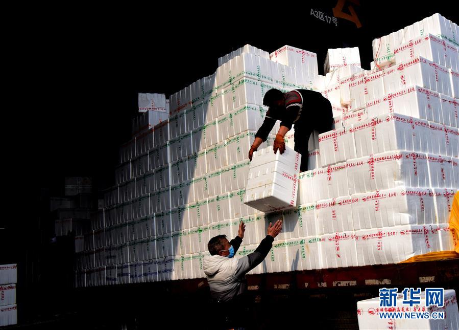 （聚焦疫情防控·圖文互動(dòng)）（4）吃的東西充足，做點(diǎn)花樣菜吧！——中部地區(qū)最大農(nóng)產(chǎn)品批發(fā)市場(chǎng)見(jiàn)聞 