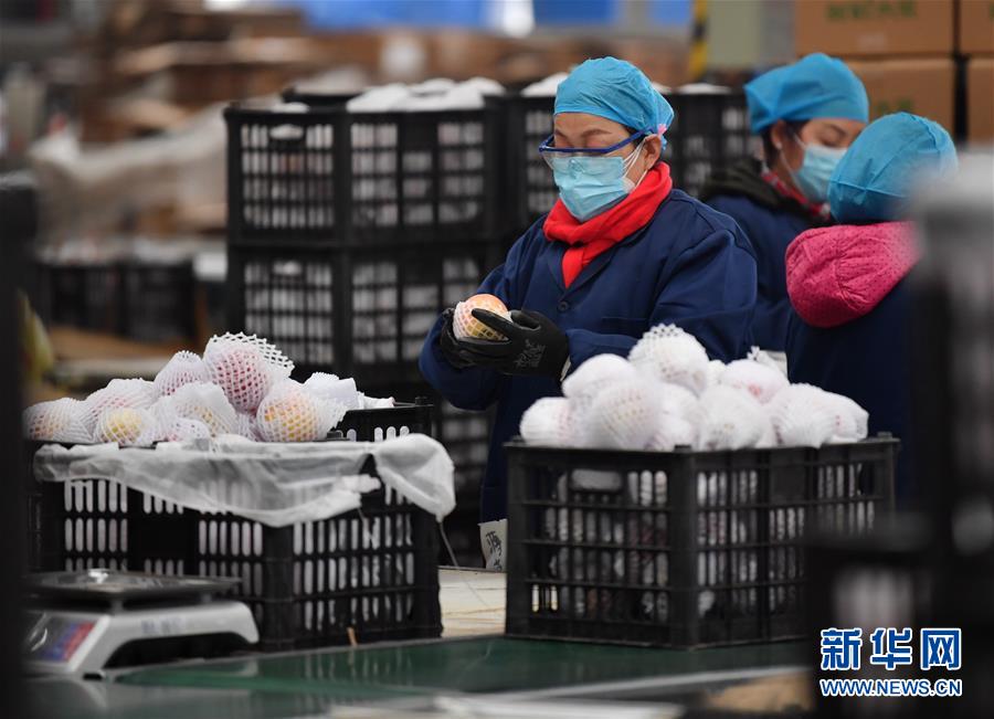 （聚焦疫情防控·圖文互動）（4）“一輛輛車出發，春暖花開的日子就不遠了”——西北電商大縣陜西省武功縣復工見聞