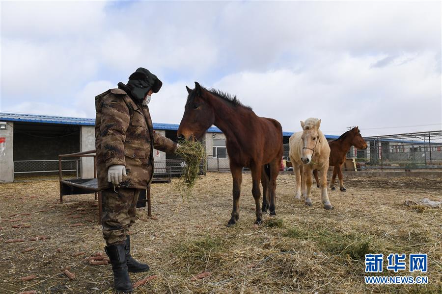 (聚焦疫情防控·圖文互動(dòng))(1)行進(jìn)在鄉(xiāng)間的馬背巡邏隊(duì)
