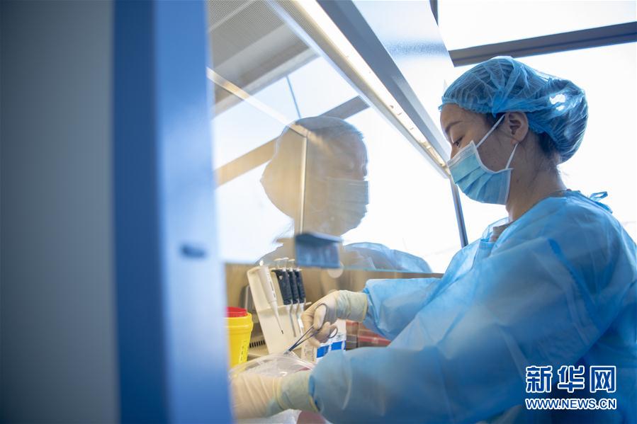 (一線抗疫群英譜·圖文互動)(3)“90后”檢驗員張慧變:每個樣本都是一份沉甸甸的責任