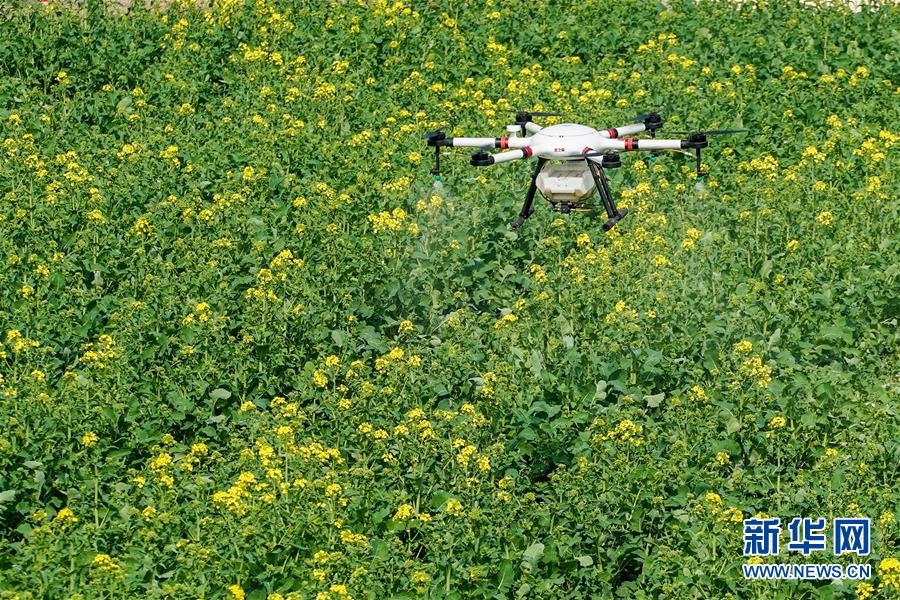 (在習(xí)近平新時代中國特色社會主義思想指引下——新時代新作為新篇章·習(xí)近平總書記關(guān)切事·圖文互動)(17)精準(zhǔn)發(fā)力抓統(tǒng)籌——各地落實“分區(qū)分級”有序恢復(fù)生產(chǎn)生活