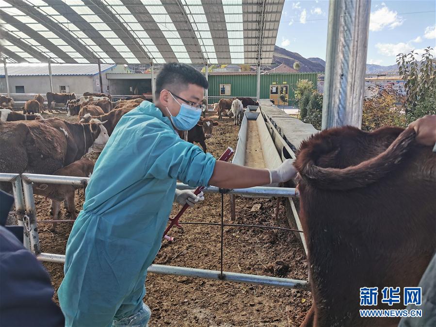 (決戰決勝脫貧攻堅·圖文互動)(2)脫貧“不暫停” 服務“不打烊”——天津通過“云端”幫扶為甘肅受援地區戰貧繼續助力