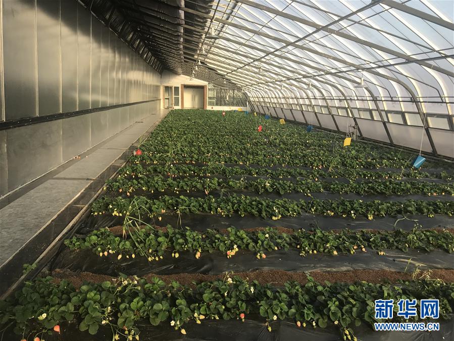 (圖文互動)(2)產(chǎn)業(yè)變綠 石墨變金 環(huán)境變美——“煤城”三變孕育春的生機