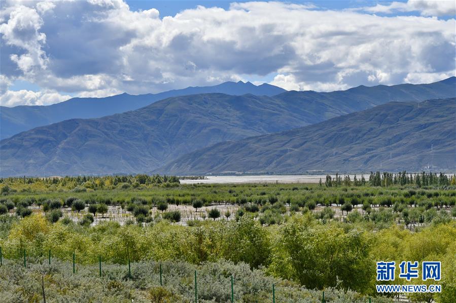 （圖文互動）（4）“今天的生活，就像夢里夢到那樣甜”——寫在西藏百萬農奴解放61周年之際