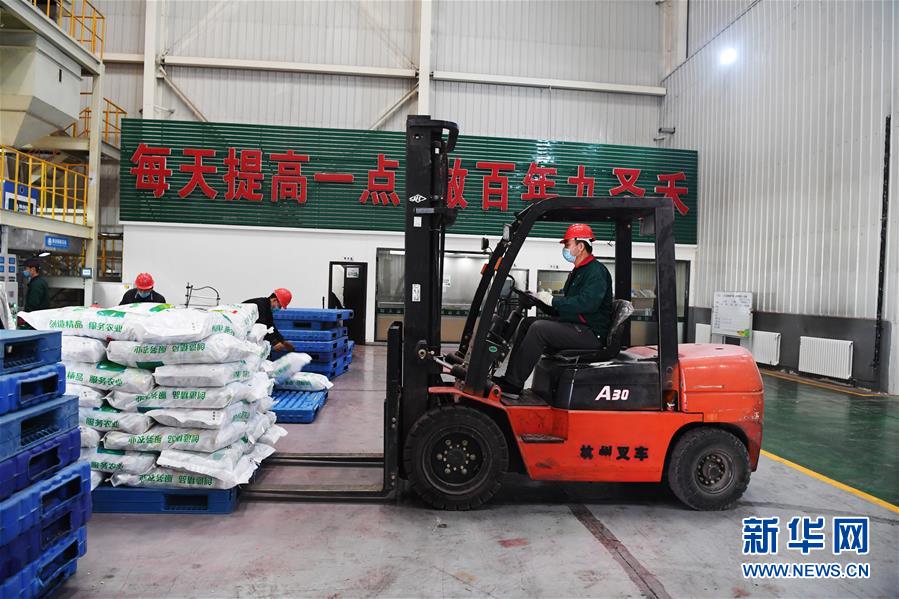 （抓好春耕備耕 穩住農業生產·圖文互動）（1）走向泥土是我們的終極夢想——一粒種子的自述